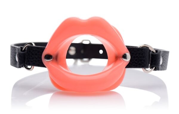 Sissy Mouth Gag - Image 3