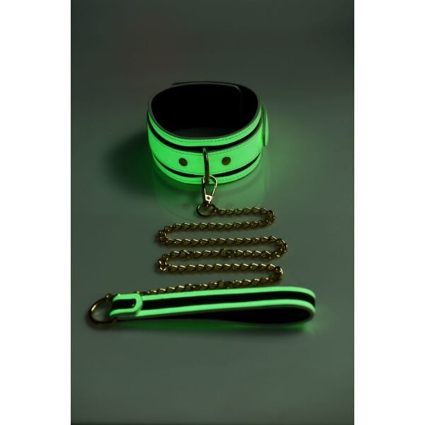 Kink in the Dark Glowing Collar and Lead Fluro Green