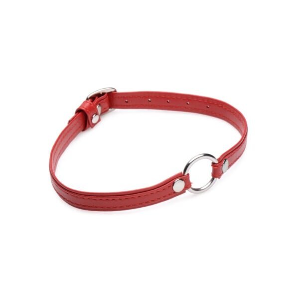 Fiery Pet Leather Choker w Silver Ring Red - Image 2