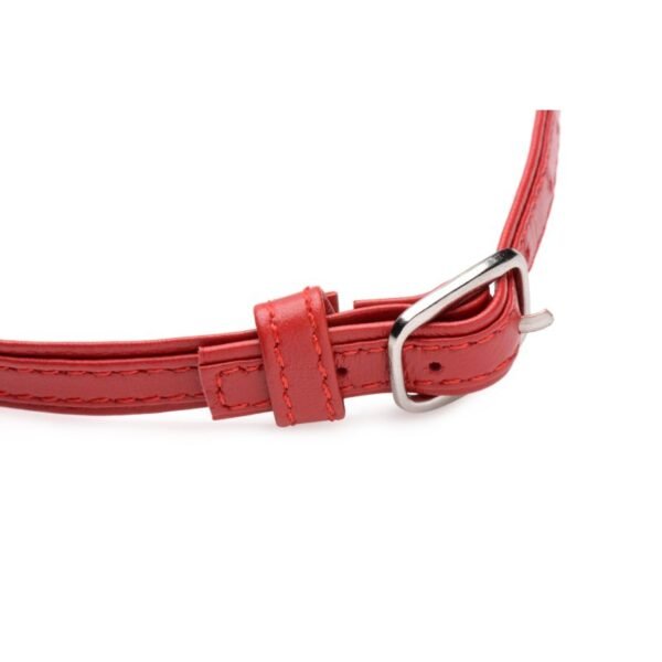 Fiery Pet Leather Choker w Silver Ring Red - Image 4