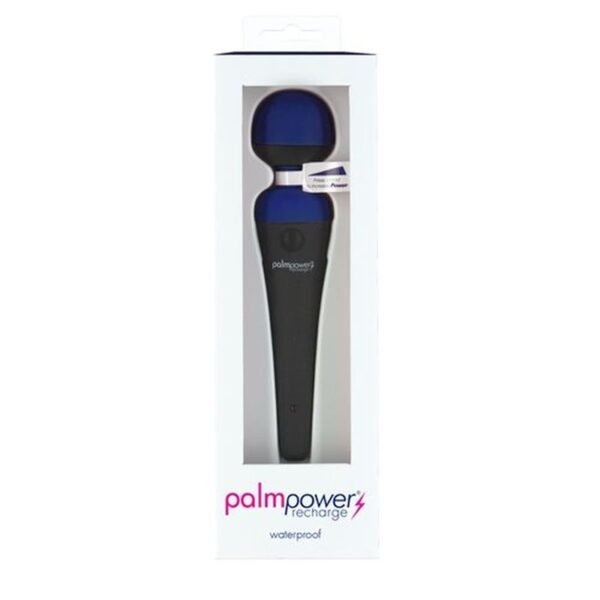 PalmPower Massage Wand Blue - Image 5